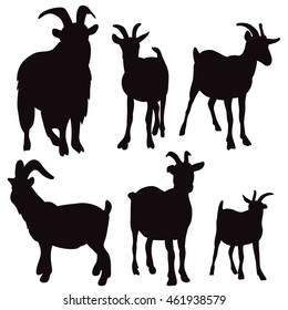 vector isolated silhouette of goat