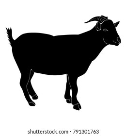 vector, isolated silhouette of a goat