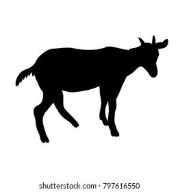 vector, isolated silhouette of goat