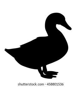 vector, isolated, silhouette, goose, duck