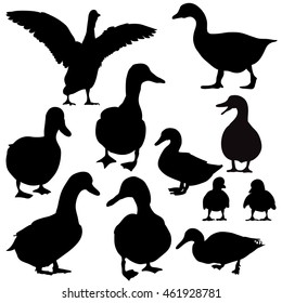 Vector, Isolated, Silhouette Goose Set