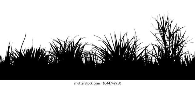 Realistic Grass Silhouettes Vector Illustrationeps10 Stock Vector ...