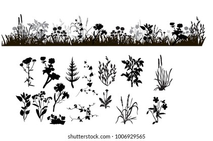 vector isolated silhouette grass and plants