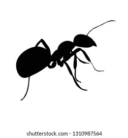 Silhouette Working Ant Insect Icon Funny Stock Vector (Royalty Free ...