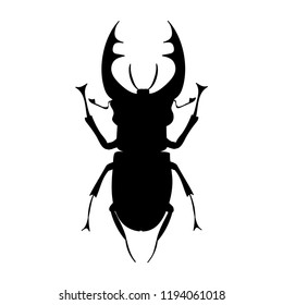 Vector, Isolated, Silhouette Insect Bug