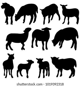 vector, isolated silhouette of a lamb, collection