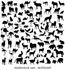 vector isolated silhouette of a large set of animals