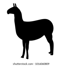 vector, isolated silhouette of llama