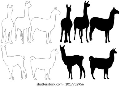 vector isolated silhouette of llama on white background, set