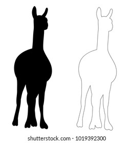 vector, isolated silhouette of llama on white background