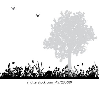 vector, isolated, silhouette nature