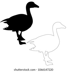 vector, isolated, silhouette, outline duck