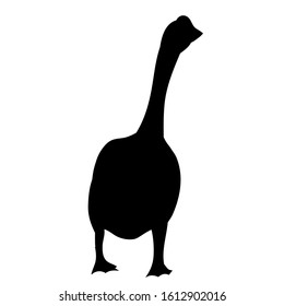 vector, isolated, silhouette pet goose is walking