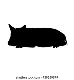 vector, isolated silhouette pig lies