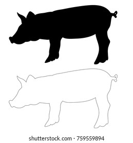 vector, isolated silhouette of a pig, outlines of a pig