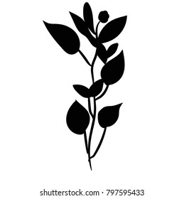 vector, isolated silhouette of a plant on a white background