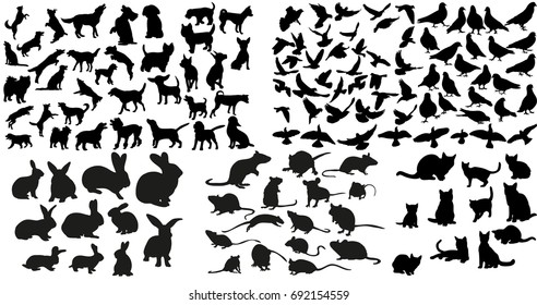 Vector, isolated silhouette of rat, cats and rabbits, dog and doves collection