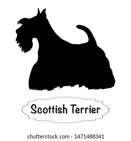 Vector isolated silhouette of Scottish terrier dog on white background.