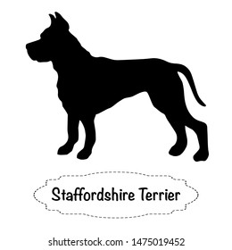 Vector isolated silhouette of  staff terrier dog on white background.