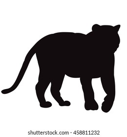 vector, isolated, silhouette, tiger