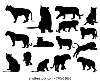 vector, isolated, silhouette tiger, collection