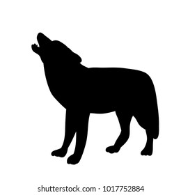 vector isolated silhouette wolf on white background