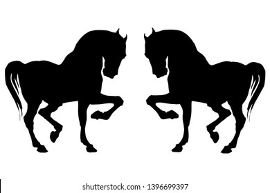 vector isolated silhouettes of two black horses on white background