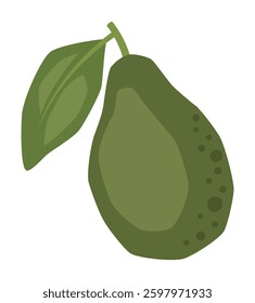 Vector isolated simple avocado illustration 