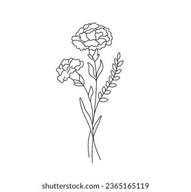 Vector isolated simple carnation bouquet boutonniere ywo carnations with twig colorless black and white contour line easy drawing	
