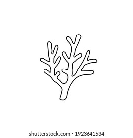 Vector Isolated Simple Contour Coral Template. Colorless Black Line Coral Branch Outline Doodle Sketch. 