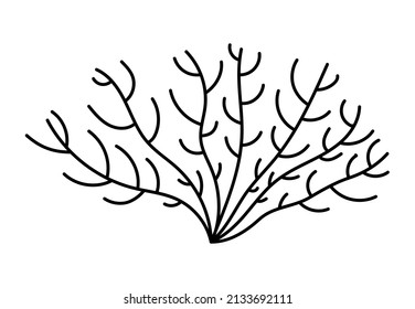 Plantilla de coral de contorno simple aislado de vectores. Esbozo de doodle de borde de rama de coral de línea negra incolora.