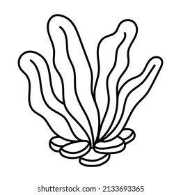 Vector isolated simple contour coral template. Colorless black line coral branch outline doodle sketch.