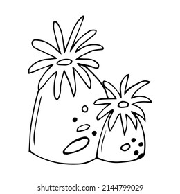 Plantilla de coral de contorno simple aislado de vectores. Esbozo de doodle de borde de rama de coral de línea negra incolora.