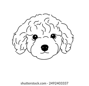 Vector isolated simple dog portrait lapdog breed tattoo colorless black and white contour line easy drawing