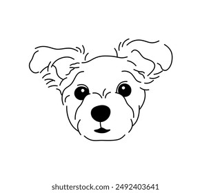 Vector isolated simple dog portrait lapdog yorkshire terrier breed tattoo colorless black and white contour line easy drawing