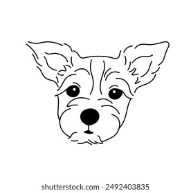 Vector isolated simple dog portrait lapdog yorkshire terrier breed tattoo colorless black and white contour line easy drawing