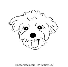 Vector isolated simple dog portrait lapdog breed tattoo colorless black and white contour line easy drawing