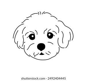 Vector isolated simple dog portrait lapdog breed tattoo colorless black and white contour line easy drawing