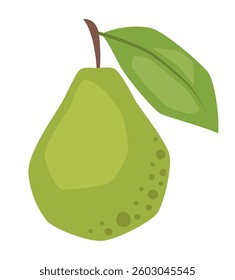 Vector isolated simple guava illustration 