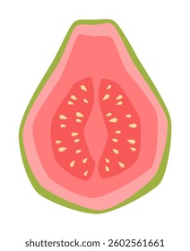 Vector isolated simple half guava illustration 