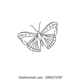 Vector Isolated Cute Cartoon Butterfly Line Stock Vector (Royalty Free ...