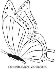 Vector isolated simple minimal graphic contour line butterfly drawing. Colorless single line butterfly drawing coloring page. Beautiful Wings