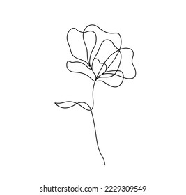 Vector isolated simple one single  line flower colorless black and white contour line easy drawing