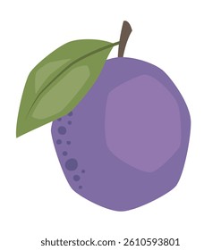 Vector isolated simple plum illustration