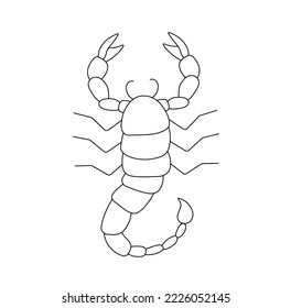 Vector isolated simple scorpion with claws and sting top view scorpio zodiac sign symbol colorless black and white contour thin line easy drawing