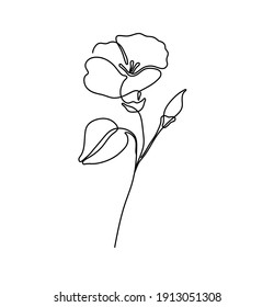 Vector isolated simple tiny one line single line morning glory flower. Single line small minimal flower tattoo.