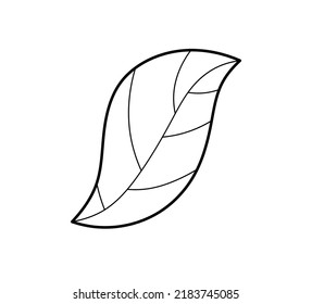 Vector Isolated Simplest Plant Leaf Streaks Stock Vector (Royalty Free ...