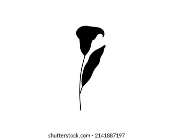 Vector isolated single alcatraz flower  outline black colored silhouette shadow