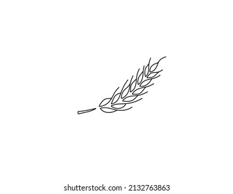 Vector Isolated Single Ear Of Wheat Colorless Black And White Contour Line Drawing