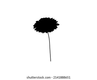 Vector Isolated Single Gerbera Flower  Outline Black Colored Silhouette Shadow